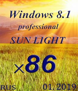 Windows 8.1 Professional SUN LIGHT by novik (mini+Portable) (x86) (01.2019) [Rus]